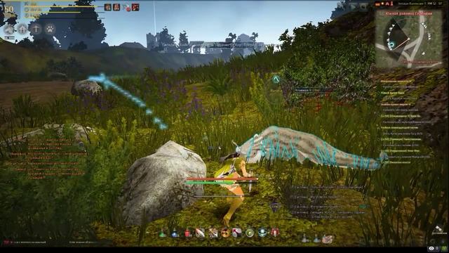 Black Desert смотреть онлайн
