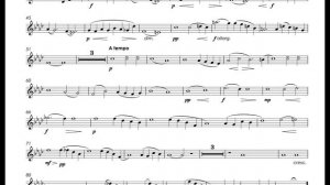 Schubert, Franz - Impromptu No.3 - Timofei Dokshizer trumpet