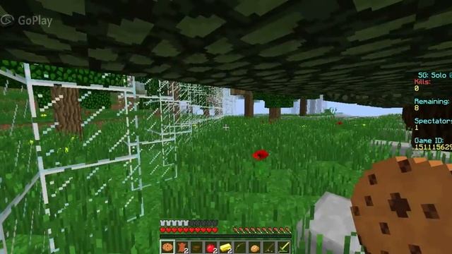 Champion of Survival! - Minecraft Survival Games смотреть онлайн