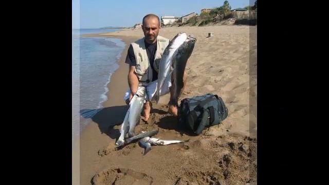 Fishing collection 2008 смотреть онлайн