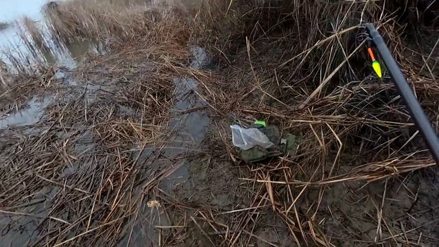 Ловля плотвы на удочку весной. Крупная плотва на поплавок в апреле