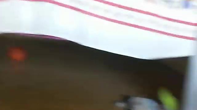 вест-хайленд-вайт-терьер Фани смотреть онлайн