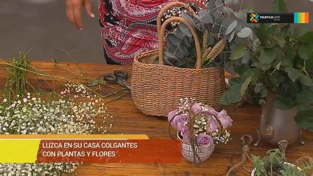 Decore su casa con colgantes de plantas y flores смотреть онлайн