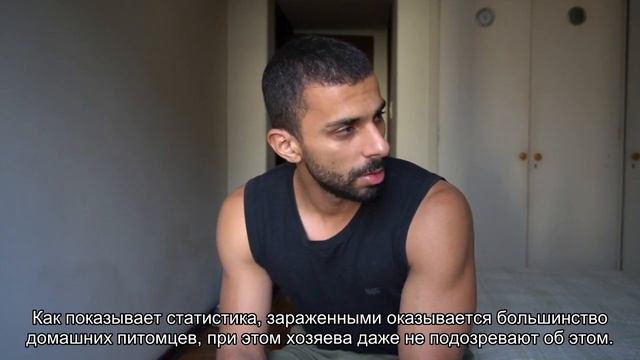 Как подготовить щенка к прививке? смотреть онлайн