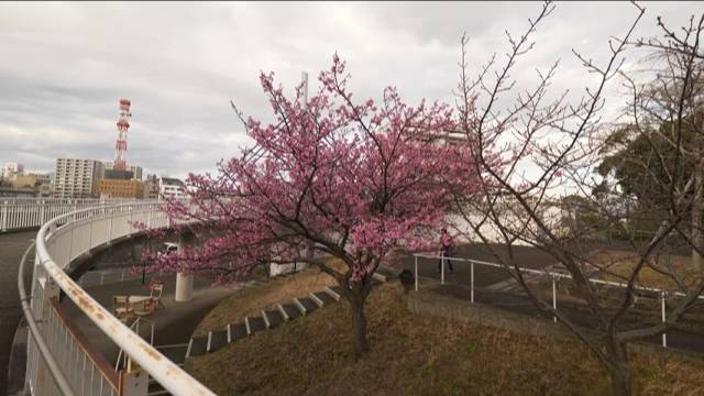 2K・ Ветреный день в Нумадзу, Сидзуока