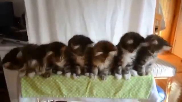 Вступайте в группу СОВДЕПИЯ без политики Воспоминания детства http ok смотреть онлайн