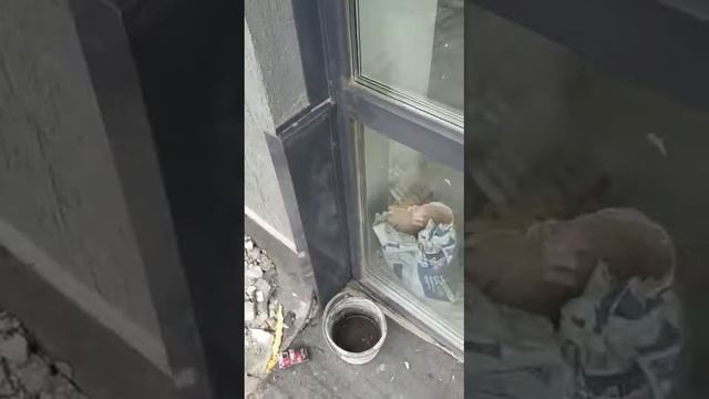 Отзыв клиента 6 06 20 смотреть онлайн