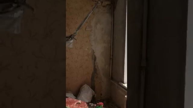 Лёха осваивает штукатурку стен. ))