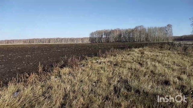 Коп металла,дрова,хороший осенний день ??? смотреть онлайн