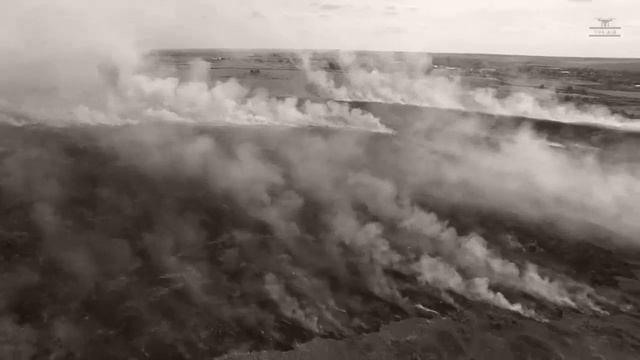 Dmitry Smykov - Ameno  (Official Video, 2024)