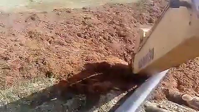 Раскопка траншеи в болоте