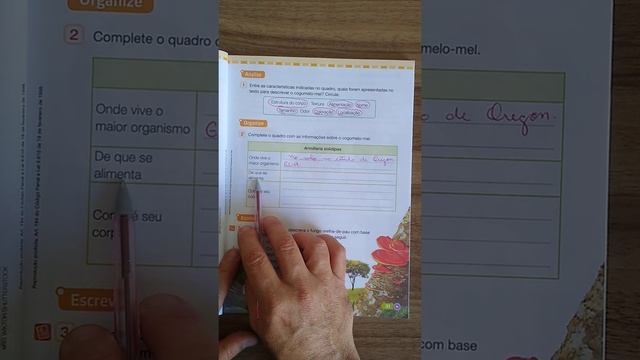 Correção de atividades de Ciências. Pág.31 4⁰ Ano смотреть онлайн