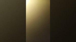 биология 5 класс 10 параграф