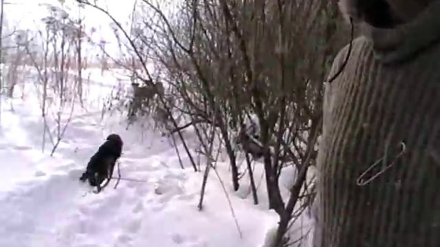 Армейская несправедливость!