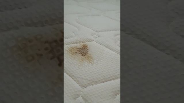 Обзоры и отзывы на медицинские препараты