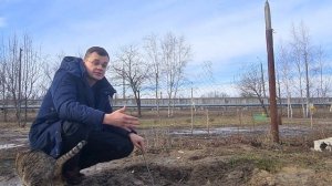 Опыт использования полимерпесчаного колодца