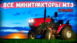 Эталонный трактор «МТЗ» и все модификации - ОАО СМОРГОНСКОГО АГРЕГАТНОГО ЗАВОДА, в чем разница?