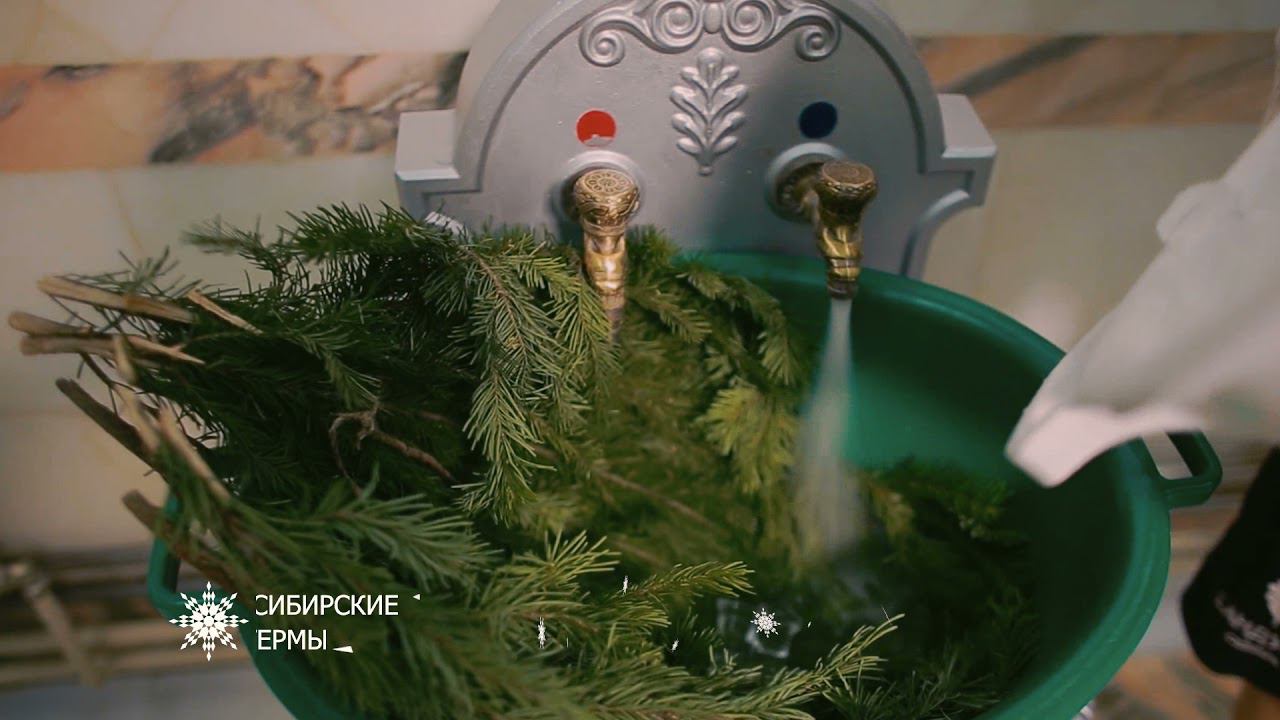 НСК ru смотреть онлайн