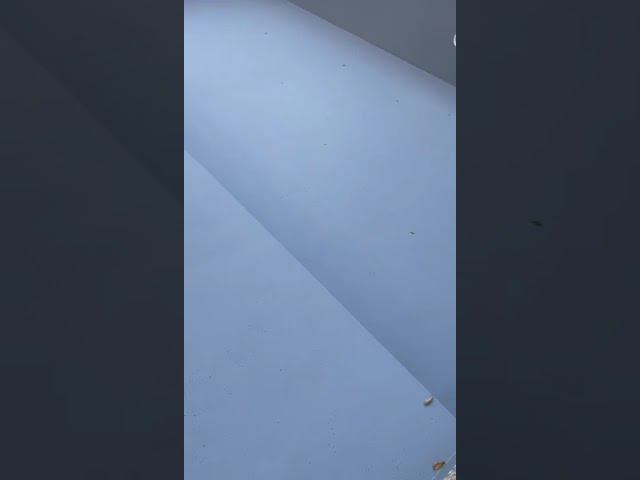 Резиновая краска для бассейна АДГЕЗИКА смотреть онлайн