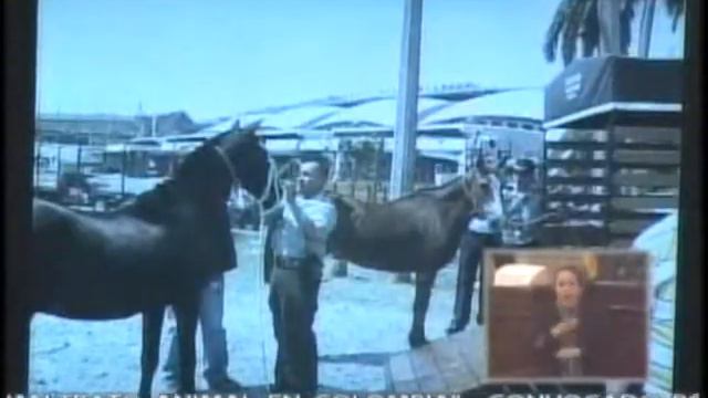 Álvaro Múnera habla en el Congreso de la República por los animales.Segunda parte de 5. смотреть онлайн