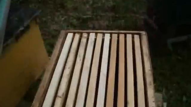 Пчеловодство. Улей (гнездо) для роя смотреть онлайн