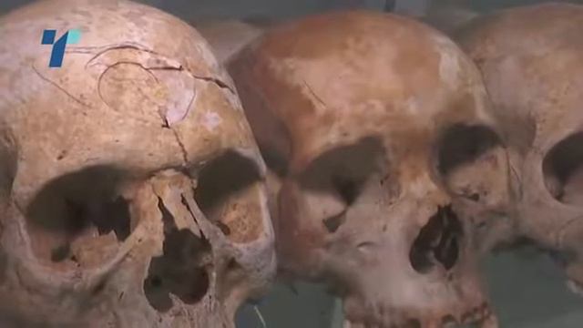 25 години од геноцидот во Руанда смотреть онлайн