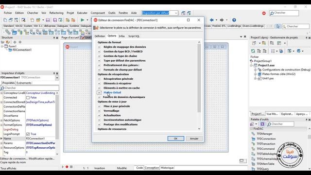 الدروس الرابع والعشرون -SQL Server 2014- ربط قاعدة البيانات بمكونات FireDAc смотреть онлайн