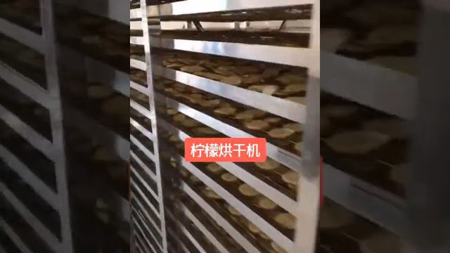 Hello river brand lemon fruit dryer fig heat pump dryer fruit dehydrator industrial dehumidifier смотреть онлайн