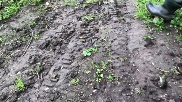 Следы волков смотреть онлайн