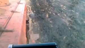 вспашка зяби на дт-175 м