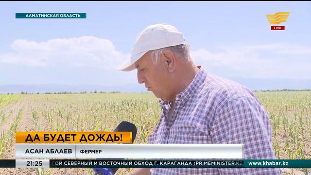 Из-за засухи фермеры Алматинской области теряют урожай смотреть онлайн
