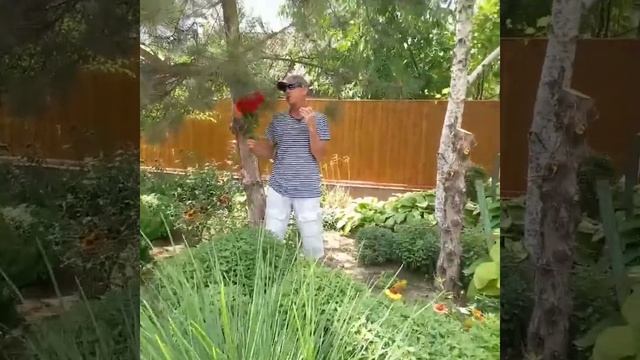 А ты мне так нравишься смотреть онлайн