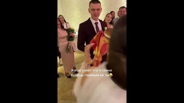 Большой Кусь )) смотреть онлайн