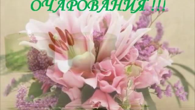 Международный женский день 8 марта смотреть онлайн