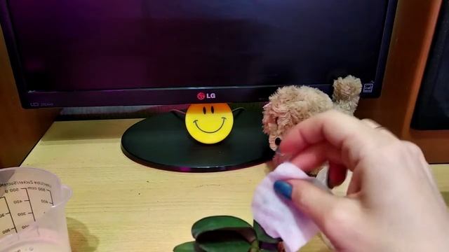 Новая орхидея Phal. I-Hsin The Big Bang смотреть онлайн