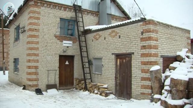 Время собирать шишки. Как в Новосибирской области пополняют страховой фонд семян сосны? смотреть онлайн