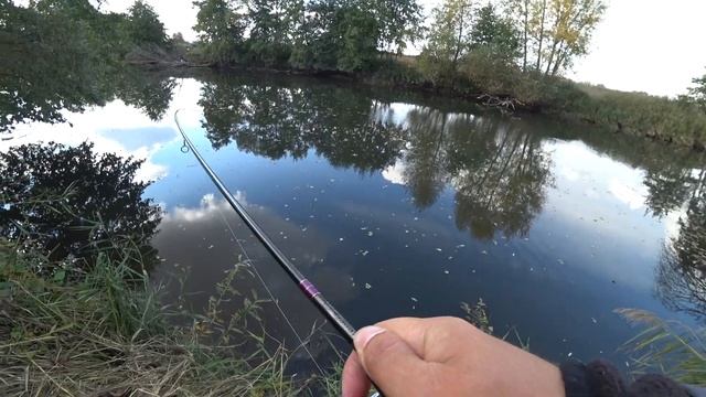 ЛОВЛЯ ОКУНЯ в небольшой мелкой речке. Каролинская оснастка.
