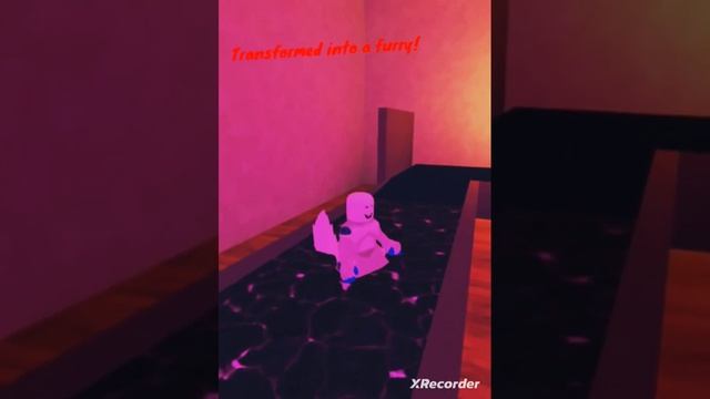 transformed into a Furry #roblox смотреть онлайн