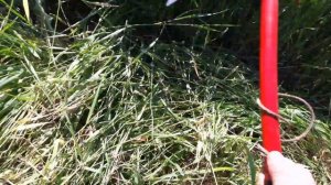 Mowing the grass with a sickle ? Кошение травы серпом