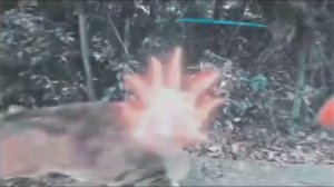 Кот носок мем 10 часов