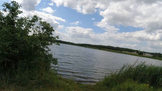 Озеро у д.Литва Столбцовского района, отдых, рыбалка. Lake Near The Village Of Litva, Stolbtsovsky.