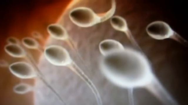 агрессивный маркетинг смотреть онлайн