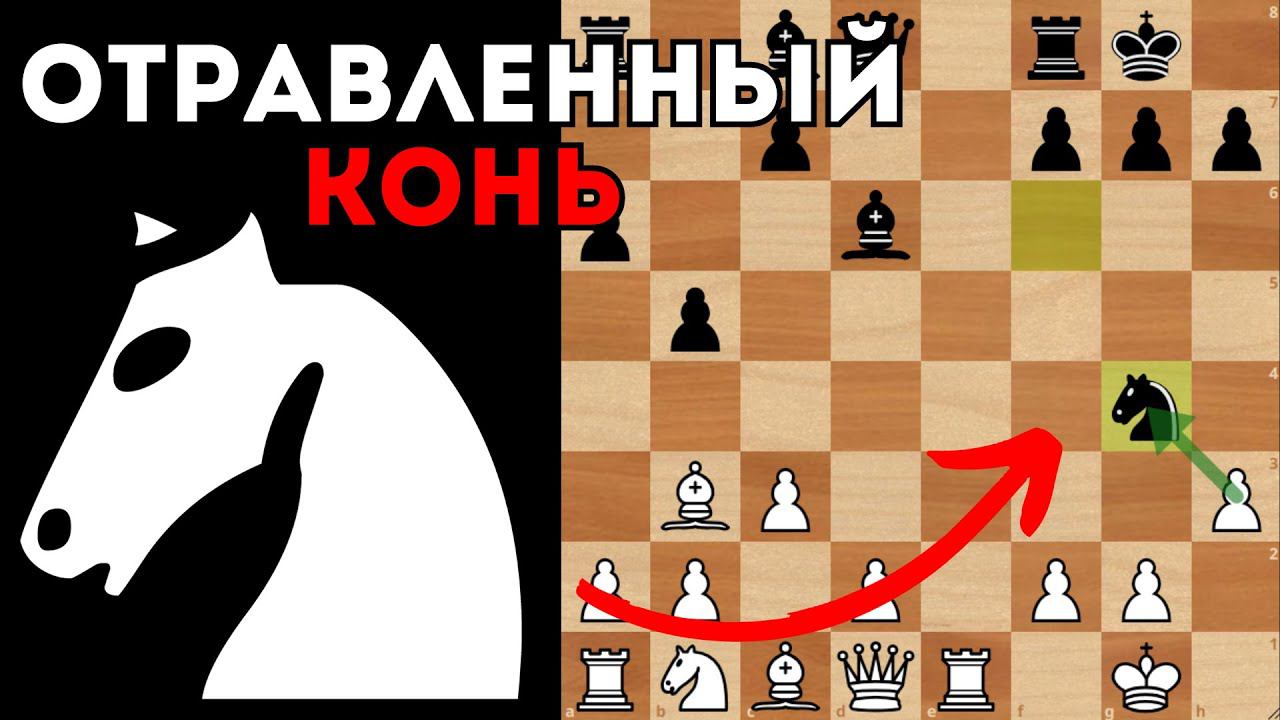 Капабланка не принимает ОТРАВЛЕННОГО КОНЯ и выигрывает партию! Шахматы смотреть онлайн