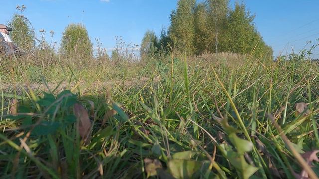 Test GPS смотреть онлайн