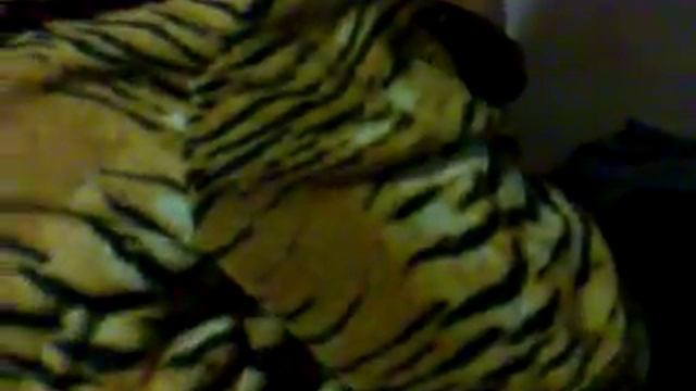 Крыса альбинос Ася (Аста, греческое) смотреть онлайн