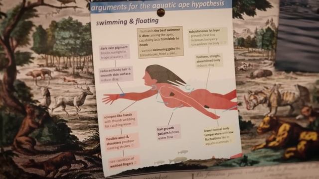 The Insane Biology of: Humans смотреть онлайн