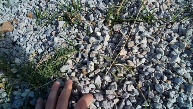 Камушки смотреть онлайн