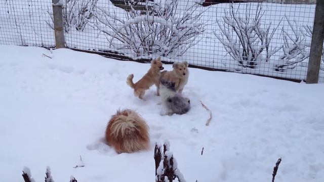 ЛюбоФФФ по..... смотреть онлайн