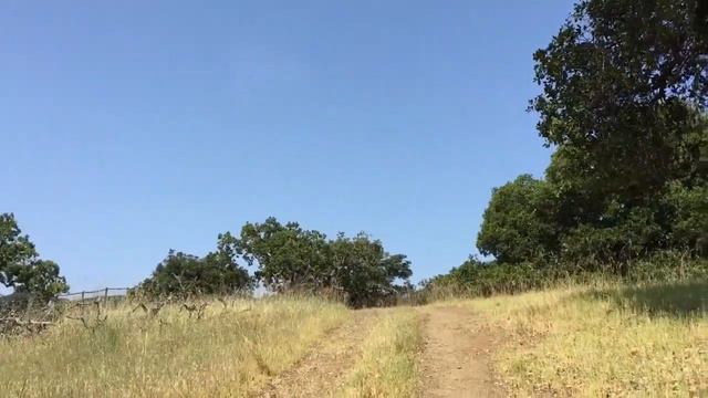 Bogush-TV, выпуск 1 "Когда правильнее планировать - утром или вечером?" смотреть онлайн