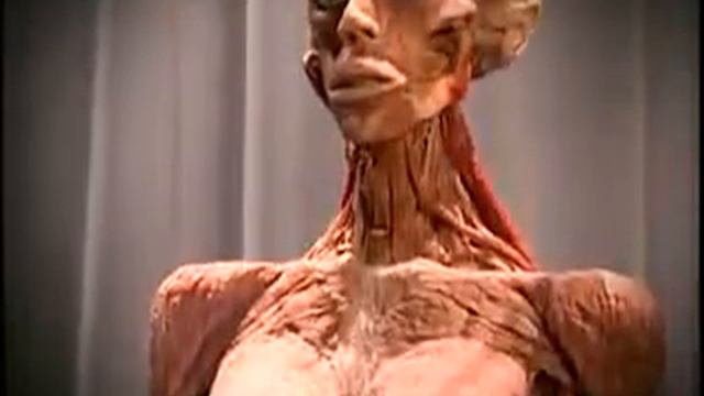 Музей трупов фон Хагена.mp4